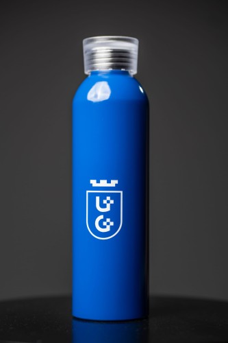 Butelka Allumi 650 ml (1).jpg